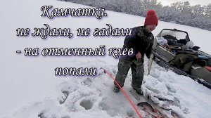 Не ждали не гадали, на шикарный клев попали! Камчатка .