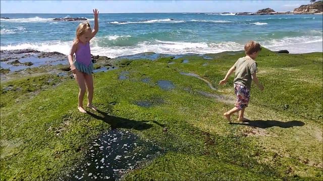 🌴Калифорния пляж мантаж ванны из 🌿водорослей и 🌿обрыв за час смотреть онлайн