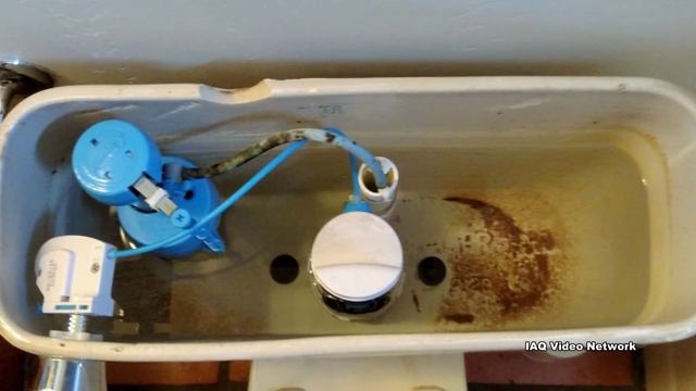 Water Damage - Common Interior Sources
