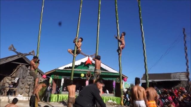 Bamboo Climbing - The Naga's Most Challenging Game смотреть онлайн