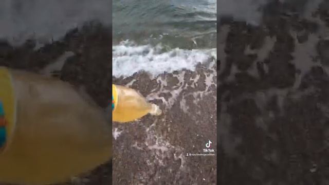 Я снимаю Х..ню не хуже остальных ??? смотреть онлайн