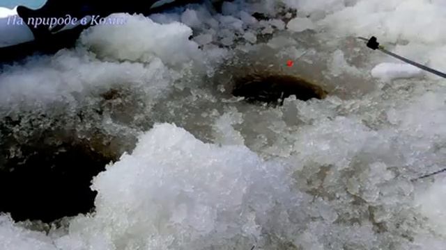 Рыбалка 02.04.18 Нашёл новое рыбное место /Охота и рыбалка #49/ смотреть онлайн