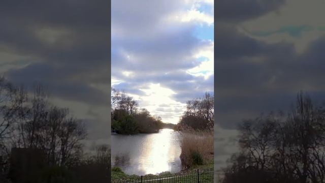 #shorts SPRING Walk In Green Park And St James Park - What To See In London City UK 2022