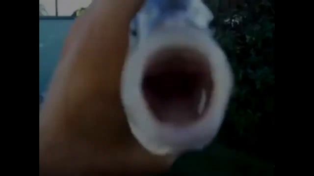 killer fish from san diego for 31 minutes and 44 seconds смотреть онлайн