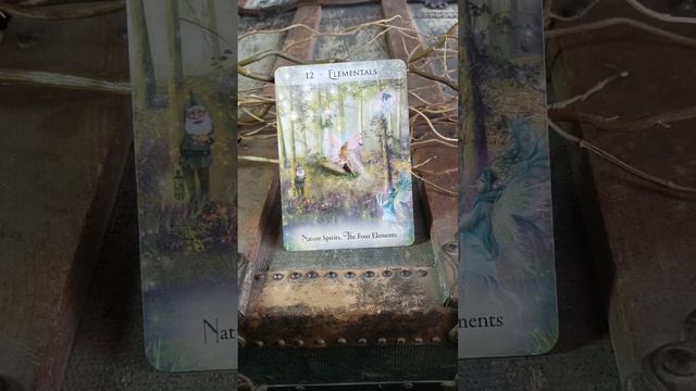 Capricorn Sun, Moon, Rising, Or North Node Oracle Card Message Zodiac Signs Card Of The Day смотреть онлайн