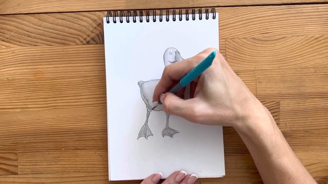 Как нарисовать гуся карандашом | Рисунок для начинающих поэтапно смотреть онлайн