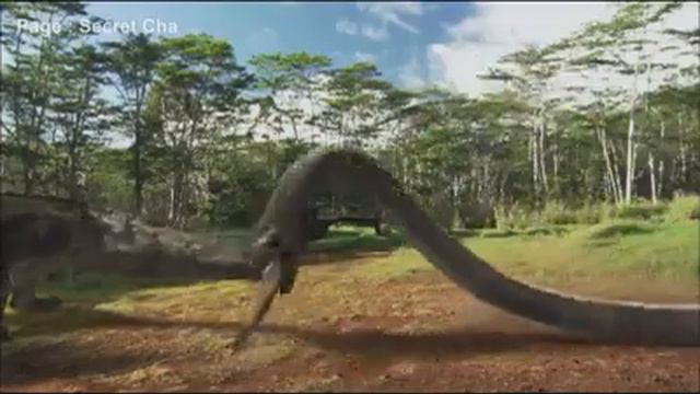 Comodo Vs Cobra
