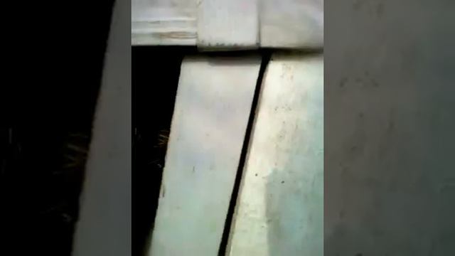 Мое подсобное хозяйство Ю.Ю. Балабан смотреть онлайн