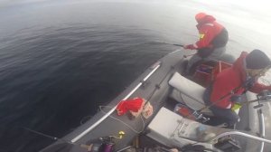 Полуостров Рыбачий рыбалка Апрель 2018