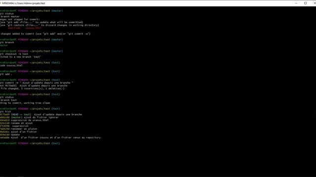 GIT 5 SECTION 5 : Des exemples de branche simple смотреть онлайн