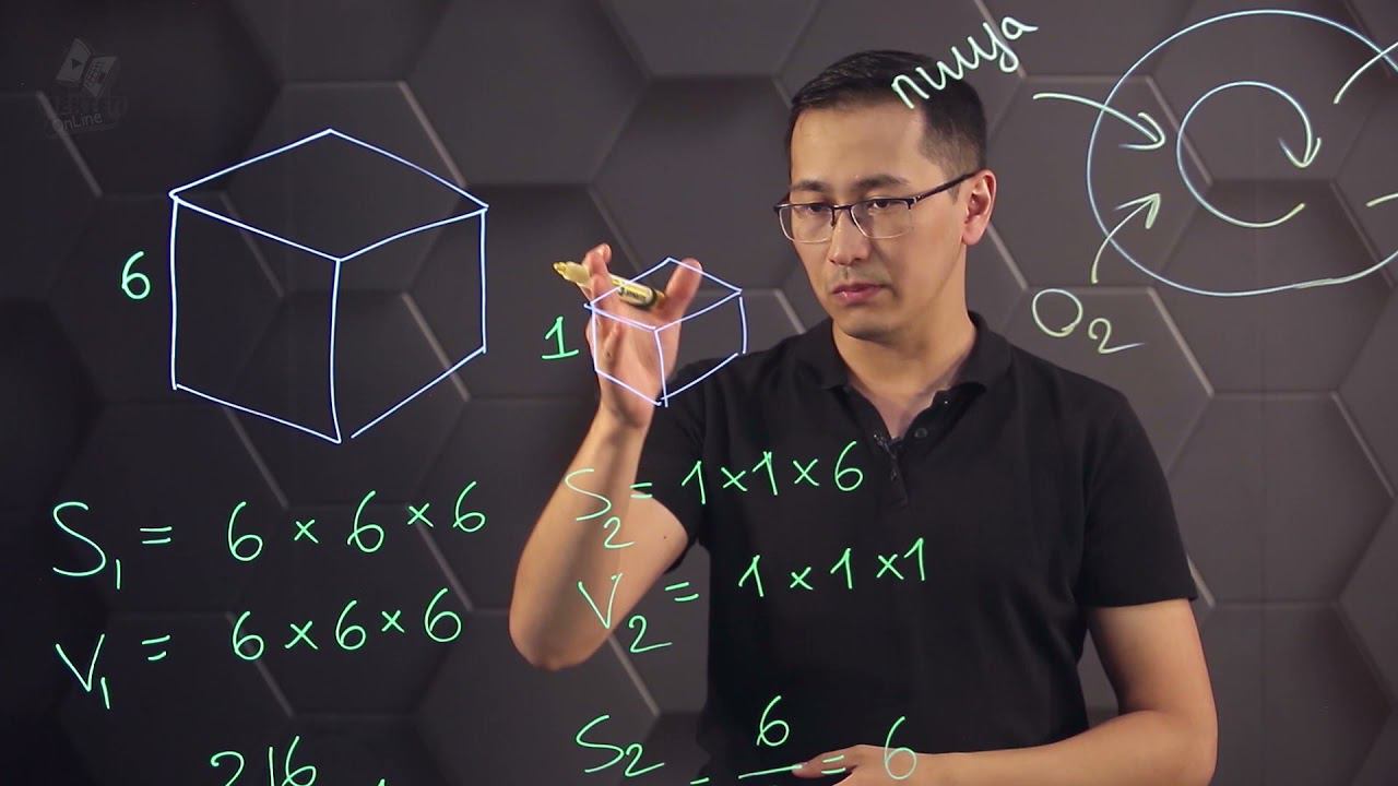 Влияние соотношения площади поверхности к объему на скорость диффузии. 10 класс. смотреть онлайн