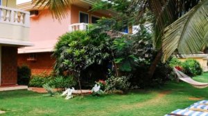 Coconut Grove 4* Индия