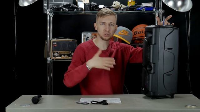 Обзор акустической колонки ELTRONIC EL 10-21 смотреть онлайн