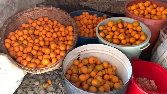 Грузия Лечебный Цхалтубо Зугдиди Путешествие смотреть онлайн