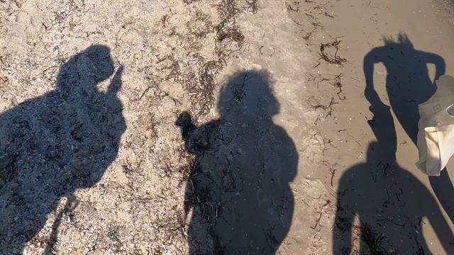 Остров Джарылгач, украинские Мальдивы смотреть онлайн