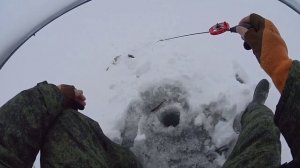 Зимняя рыбалка мормышка, безмотылка