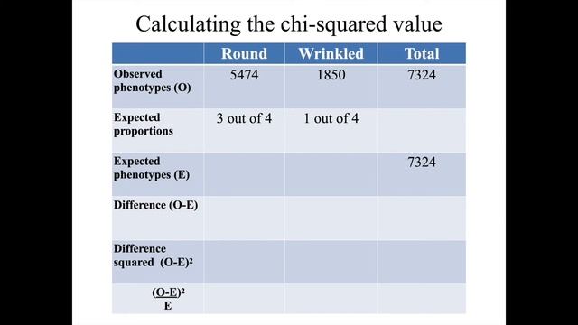10.2 Chi-Squared Test for a Monohybrid Cross смотреть онлайн