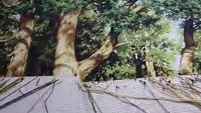 Вопросы по гобелену. смотреть онлайн