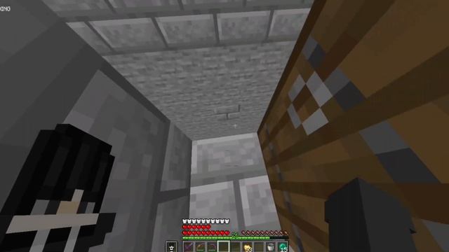 How I Defeated Every Player in This Lifesteal Smp | ft. Fake Johan | lifesteal smp смотреть онлайн