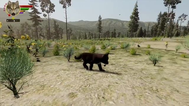 The Big Picture смотреть онлайн