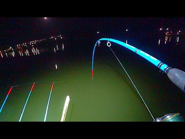 СОМЫ!САЗАНЫ!РАЗВОРАЧИВАЮТ ЛОДКУ!!! РЫБАЛКА НА СОМА И САЗАНА смотреть онлайн