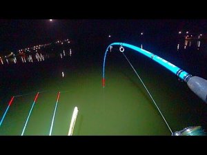 СОМЫ!САЗАНЫ!РАЗВОРАЧИВАЮТ ЛОДКУ!!!  РЫБАЛКА НА СОМА И САЗАНА