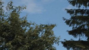 Два Вертолёта Ка-52 летят, и последний вертолёт летит Ми-8.