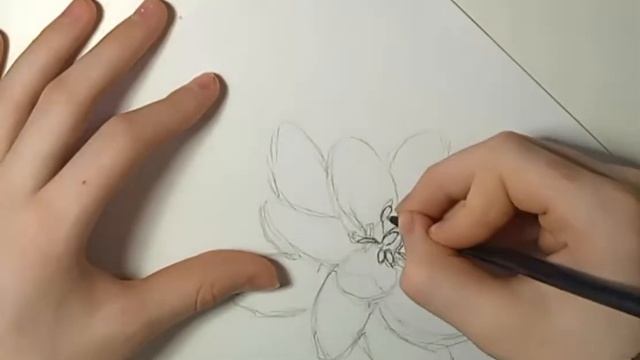 Как нарисовать Цветок быстро и легко смотреть онлайн