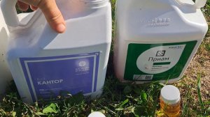 Замена сверхпопулярного фунгицида СВИТЧ. Подробно. Клеймор, Приам,Кантор