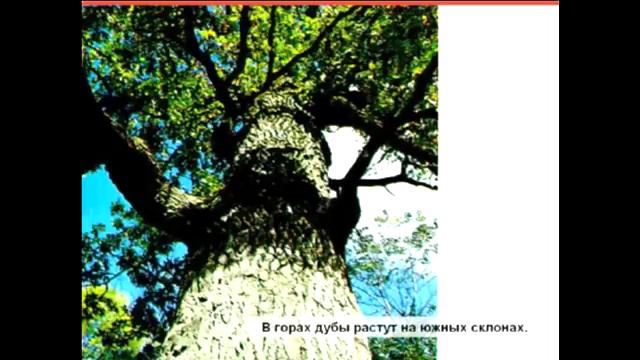 Христианский путь - к счастливой жизни