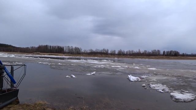 СКОРО ОХОТА НА УТКУ! ЖДЁМ ОТКРЫТИЯ. РЕКА ПИЖМА. смотреть онлайн