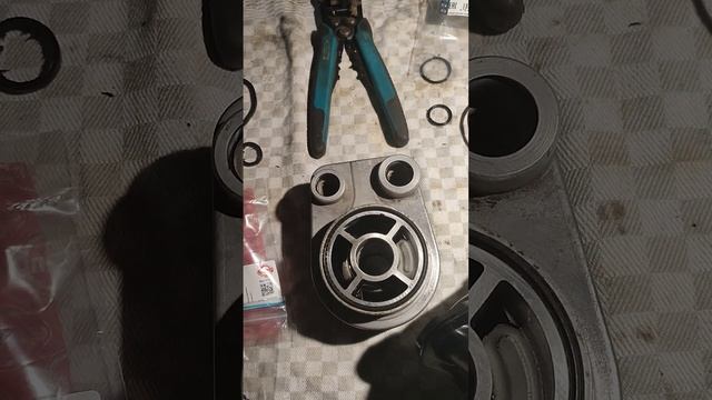 Замена ремней и роликов: Ремонт Renault