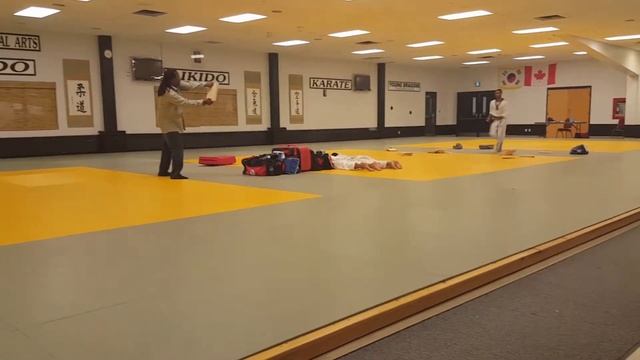 Steve double board flying fist testing 2017 смотреть онлайн