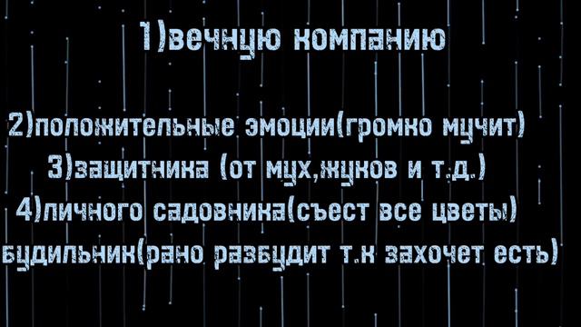стоит ли брать британского кота?ответ на вопрос+факты о британцах смотреть онлайн