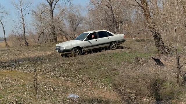 Audi 100 C3 QUATTRO пробный заезд
