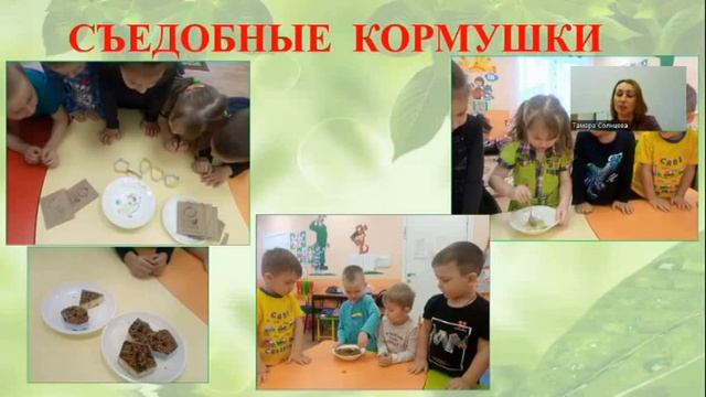 "Формирование экологической культуры через программы дополнительного образования у дошкольников" смотреть онлайн