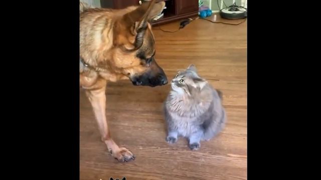 «Ты говоришь мне о любви» смотреть онлайн