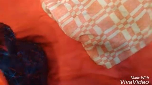 Дружба с собаками