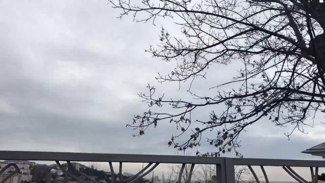 Новая Стройка в Сочи с видом на море смотреть онлайн