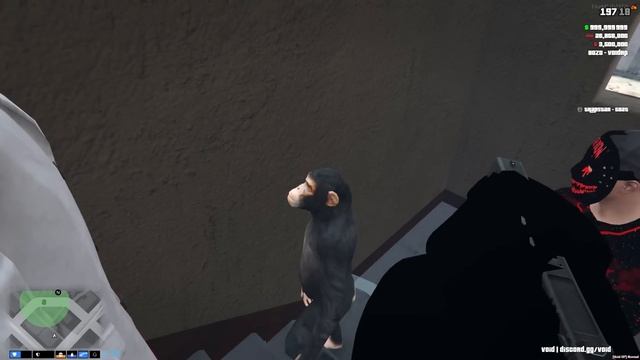 we abused admin powers... GTA 5 RP смотреть онлайн