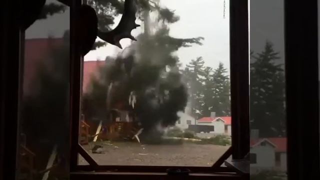Удар молнии в сосну ? смотреть онлайн