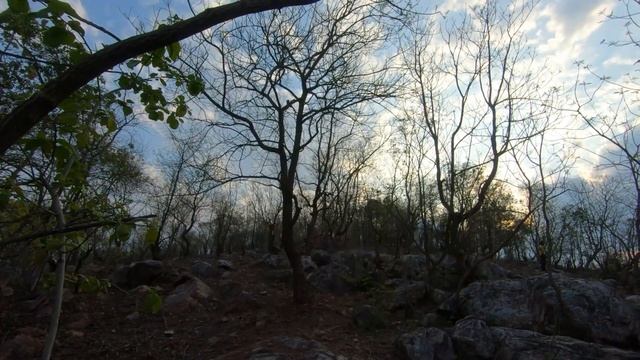 Baby python on my way | Trek to Peacock Point | Beautiful places in Chhattisgarh смотреть онлайн