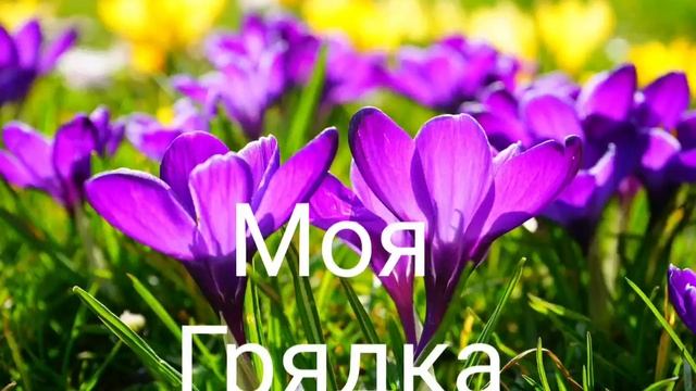 Моя грядка- христианский детский стих. смотреть онлайн