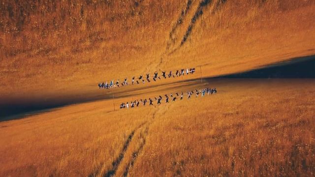 №1 курси інструкторів з йоги Україна | №1 инструкторские курсы по йоге Украина | ADHOyoga смотреть онлайн