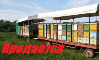 Пронесло!!!Так можно заморить пчел.Продаётся кочевая пасека-2 прицепа к легковому авто-документами. смотреть онлайн