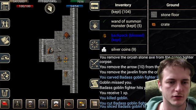 Wyvern ЗАКОУЛКИ ПОДЗЕМЕЛИЙ @ рогалик-МАД