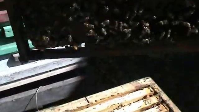 Освоение вторых корпусов. Дачный точЁк. смотреть онлайн