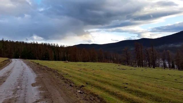 Вечерняя тишина. смотреть онлайн