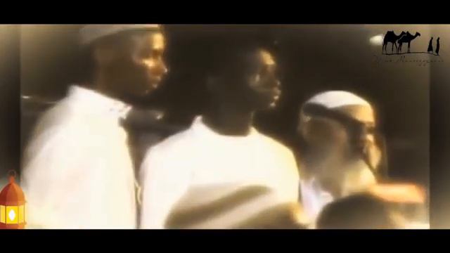 Закир Найк мавлуди пайғамбар бидъат аст. смотреть онлайн