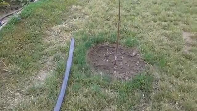 Огород с теплыми грядками смотреть онлайн